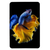 Tropischer Fisch Magnet (Vertikal)