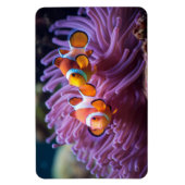 Tropischer Fisch Magnet (Vertikal)