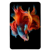 Tropischer Fisch Magnet (Vertikal)