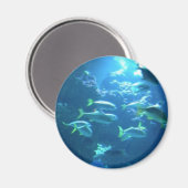 Tropischer Fisch Magnet (Vorderseite/Rückseite)