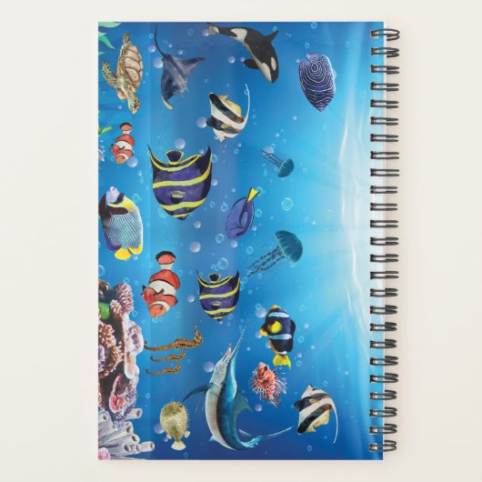 Tropischer Fisch Planer (Rückseite)