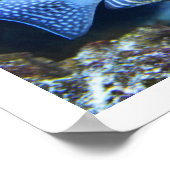Tropischer Fisch Poster (Ecke)