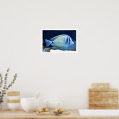 Tropischer Fisch Poster (Küche)