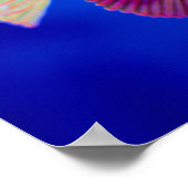 Tropischer Fisch Poster (Ecke)