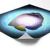 Tropischer Fisch Poster (Ecke)