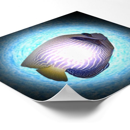 Tropischer Fisch Poster (Ecke)