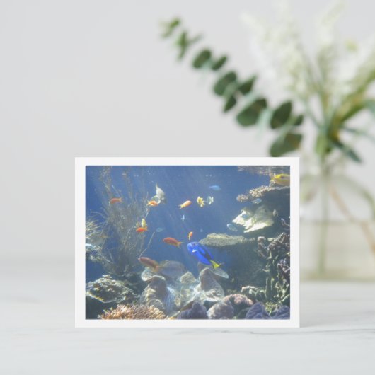 Tropischer Fisch Postkarte (Stehend Vorderseite)
