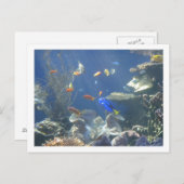 Tropischer Fisch Postkarte (Vorne/Hinten)