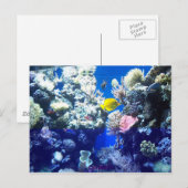 Tropischer Fisch Postkarte (Vorne/Hinten)