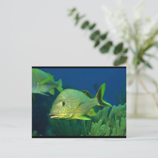 Tropischer Fisch Postkarte (Stehend Vorderseite)