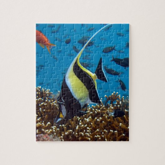 Tropischer Fisch Puzzle (Vertikal)