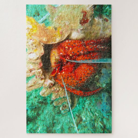 Tropischer Fisch Puzzle (Vertikal)