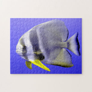 Tropischer Fisch Puzzle