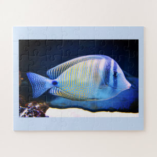 Tropischer Fisch Puzzle