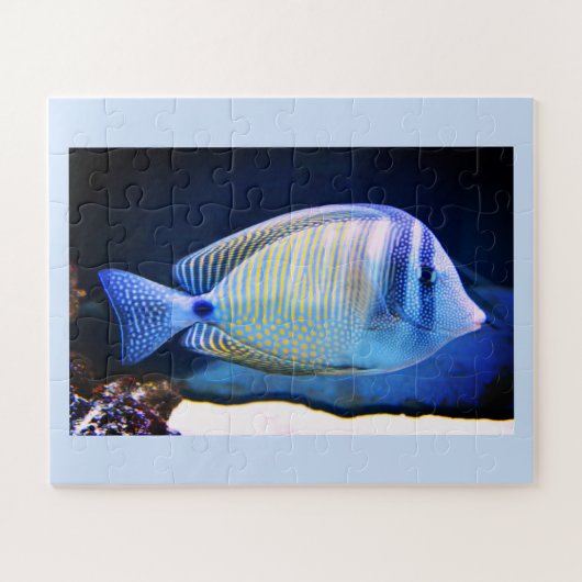 Tropischer Fisch Puzzle (Horizontal)