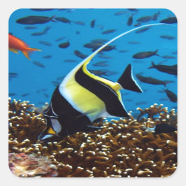 Tropischer Fisch Quadratischer Aufkleber