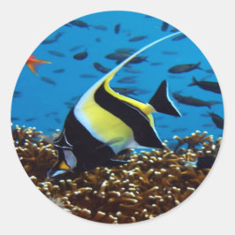 Tropischer Fisch Runder Aufkleber