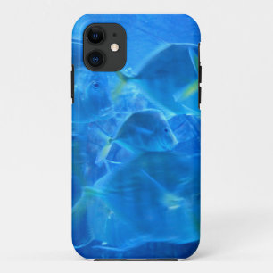 Tropischer Fisch selten gibt es iPhone Case