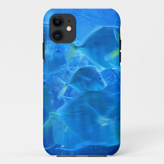 Tropischer Fisch selten gibt es iPhone Case (Rückseite)