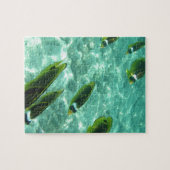 Tropischer Fisch unter Wasser Puzzle (Horizontal)