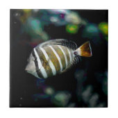 tropischer Fisch Unterwasser-Aquakultur Fliese (Vorderseite)