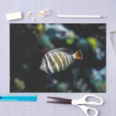 tropischer Fisch Unterwasser-Aquakultur Seidenpapier (Handwerk)