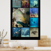 Tropischer Fisch Wasserleben Poster (Küche)