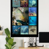 Tropischer Fisch Wasserleben Poster (Heimbüro)