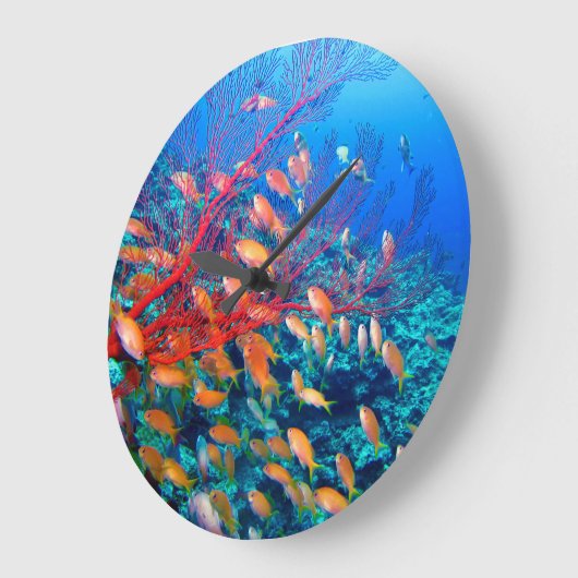 Tropischer Fischkorallenriff Große Wanduhr (Winkel)