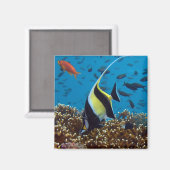 Tropischer Fischmagnet Magnet (Vorderseite/Rückseite)