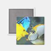 Tropischer Fischmagnet Magnet (Vorderseite/Rückseite)