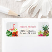 Tropischer Flamingo Ananas UAWG (Insitu)