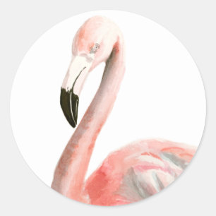 Tropischer Flamingo-Vogel Runder Aufkleber