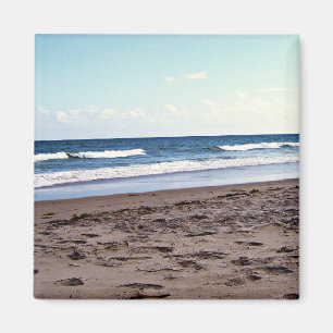 Tropischer Florida-Ozeanwellen-Glanz Magnet