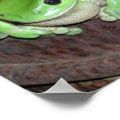 Tropischer Frosch Poster (Ecke)