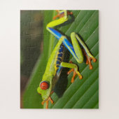Tropischer Frosch Puzzle (Vertikal)