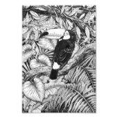 Tropischer Garten Fotodruck (Vorne)