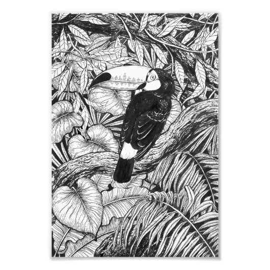 Tropischer Garten Fotodruck (Vorne)