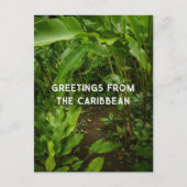 Tropischer Garten, Karibik Reise Postkarte (Vorderseite)