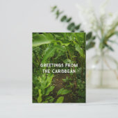 Tropischer Garten, Karibik Reise Postkarte (Stehend Vorderseite)