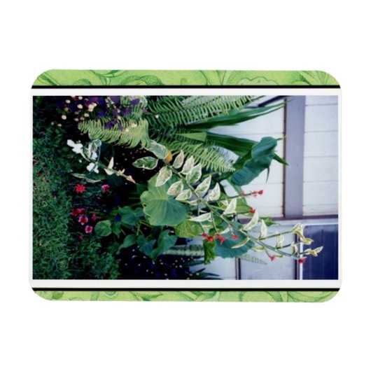 Tropischer Garten Magnet (Horizontal)