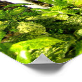 Tropischer Garten unter Glas Poster (Ecke)