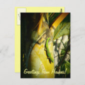 Tropischer Gecko Hawaiianischer Grußkarte Postkarte (Vorne/Hinten)