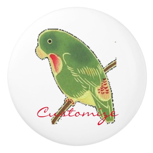 Tropischer grüner Parakeet Thunder_Cove Keramikknauf (Vorderseite)