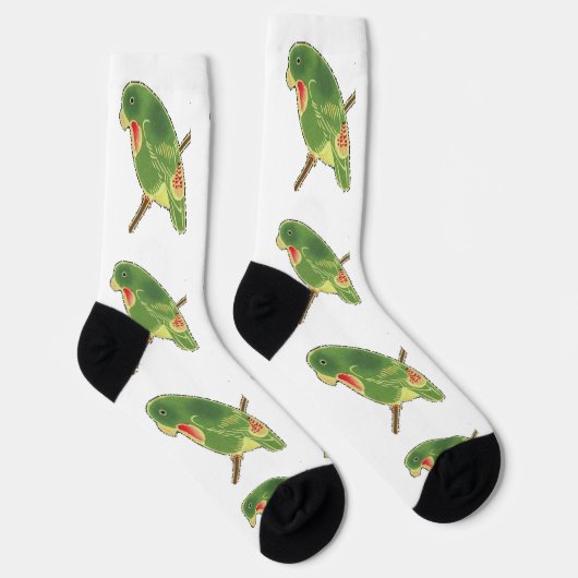 Tropischer Grüner Sittich Thunder_Cove Socken (Rechts)