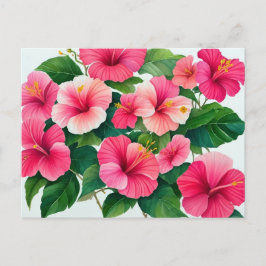 Tropischer Hawaii-Hibiskus in Rosa und Weiß Postkarte