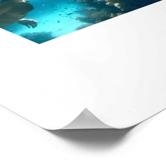 Tropischer Himmel Poster (Ecke)