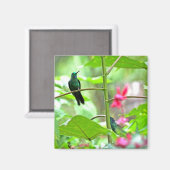 Tropischer Hummingvogel und Blume Magnet (Vorderseite/Rückseite)