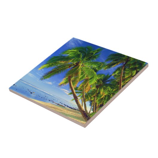 Tropischer Insel-Strand Kokosnuss-Palme-Sandys Fliese (Seite)