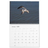 Tropischer Kalender 2025, Vögel im Paradies (Jan 2027)